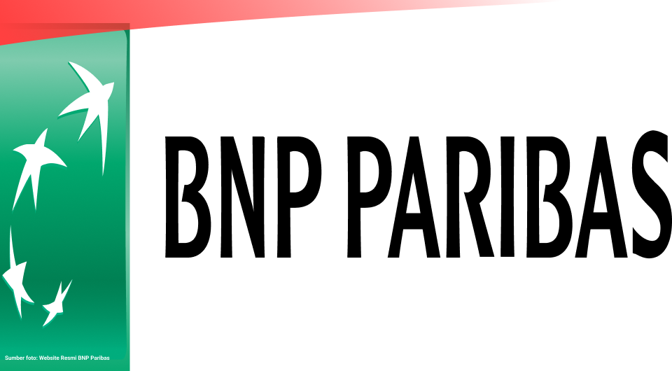 BANK BNP PARIBAS visual data 2
